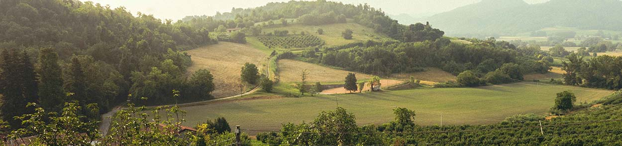 CAMPO TAMBURELLO