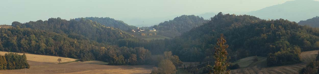 MORSINGO